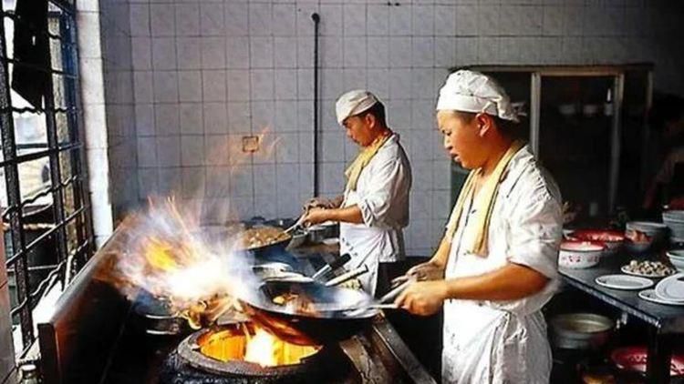 樱花小猫的视频大全
