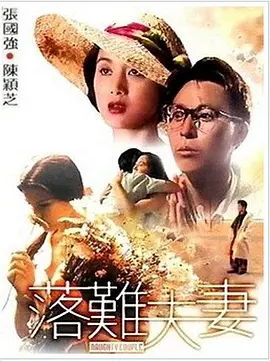 久久久久久国产精品三级