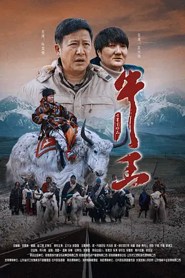 91视频观看免费