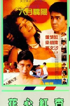 家庭教师的私生活