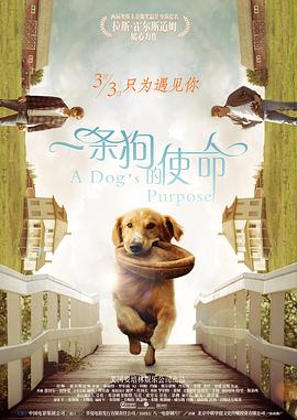 亚洲国产日韩精品