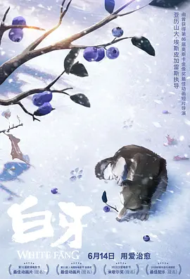妻子的视频
