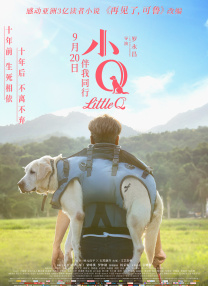 国产成人综合95精品视频免费